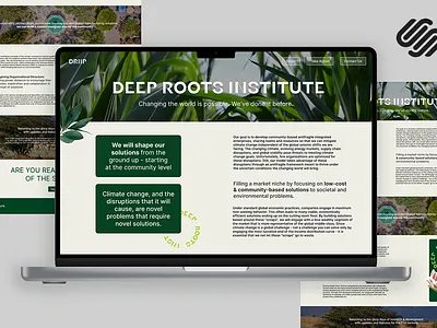 driirp design figma graphic design squarspace webdesign