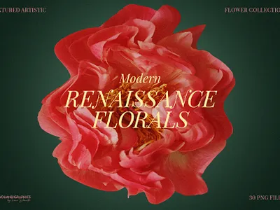 Modern Renaissance Florals branding design digital art floral flowers graphic design illustration modern renaissance resources