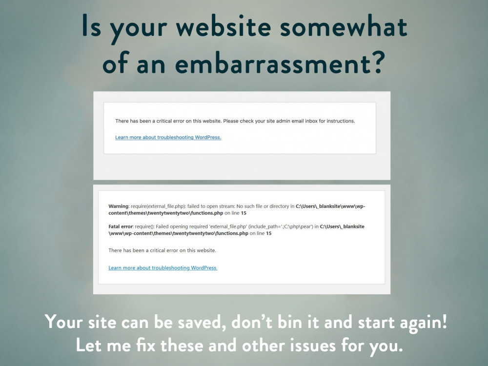 Example of Word Press Diagnostics And Cleanup