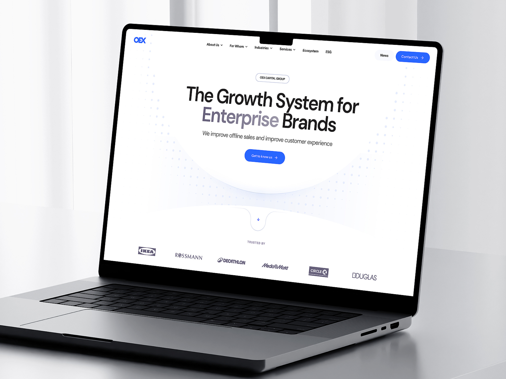 Example of OEX Group