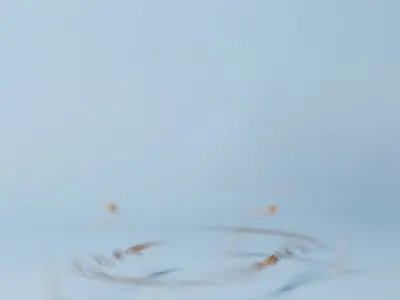 Bed project 3d animation bed design motion graphics