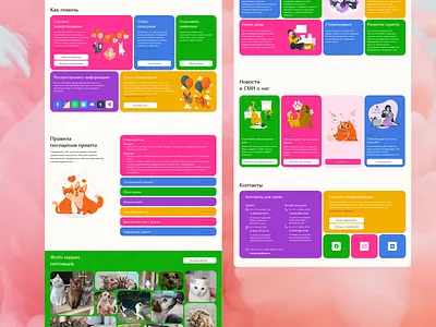 Volunteer project for homeless animals design ui ux uxui web design webdesign