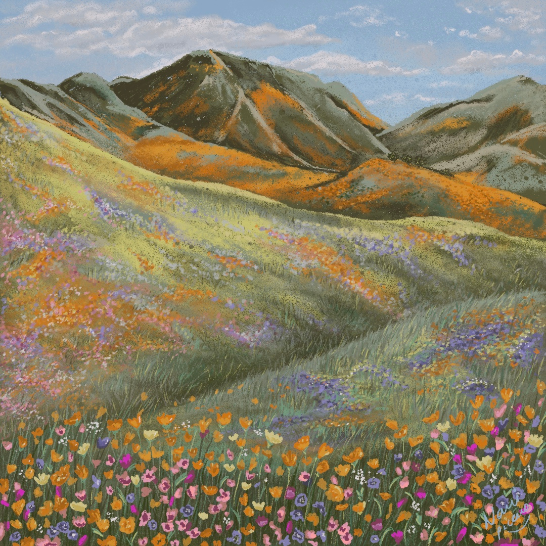 The hills are alive art drawing flower illustration lanscape nature natureillustration procreate wildflowers