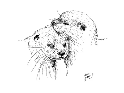 Love from Otter World art artwork drawing illustration inking nature otter procreate