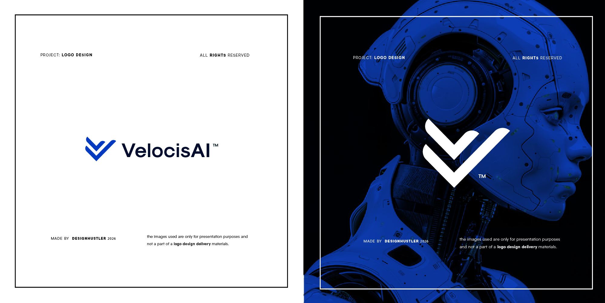 Velocis AI (Logo Entry)