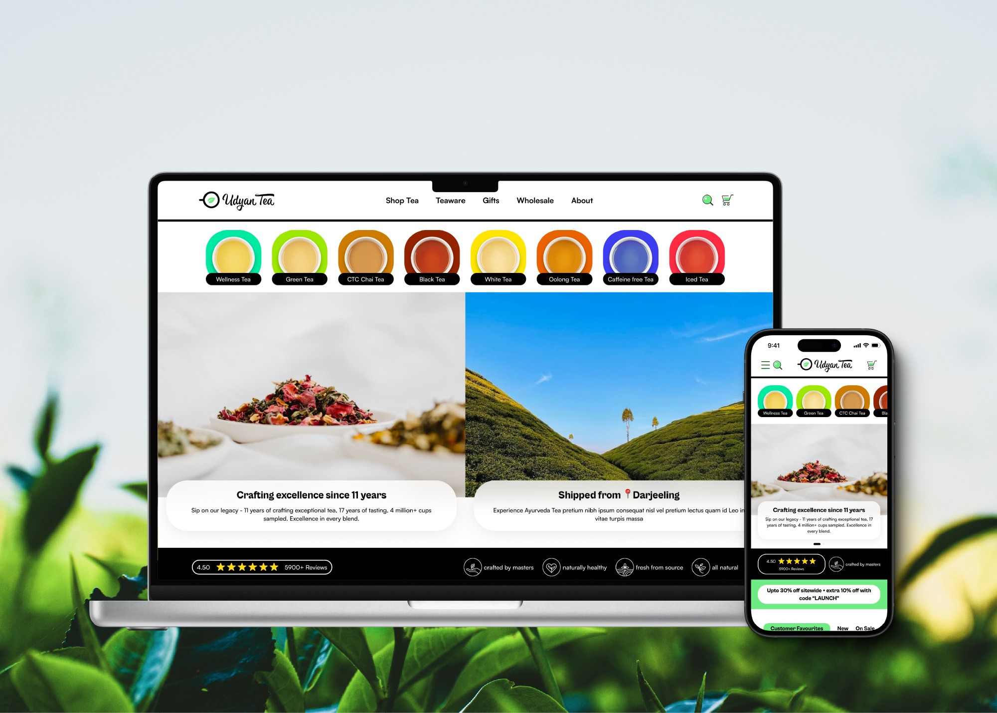 Example of E Commerce UI Design 