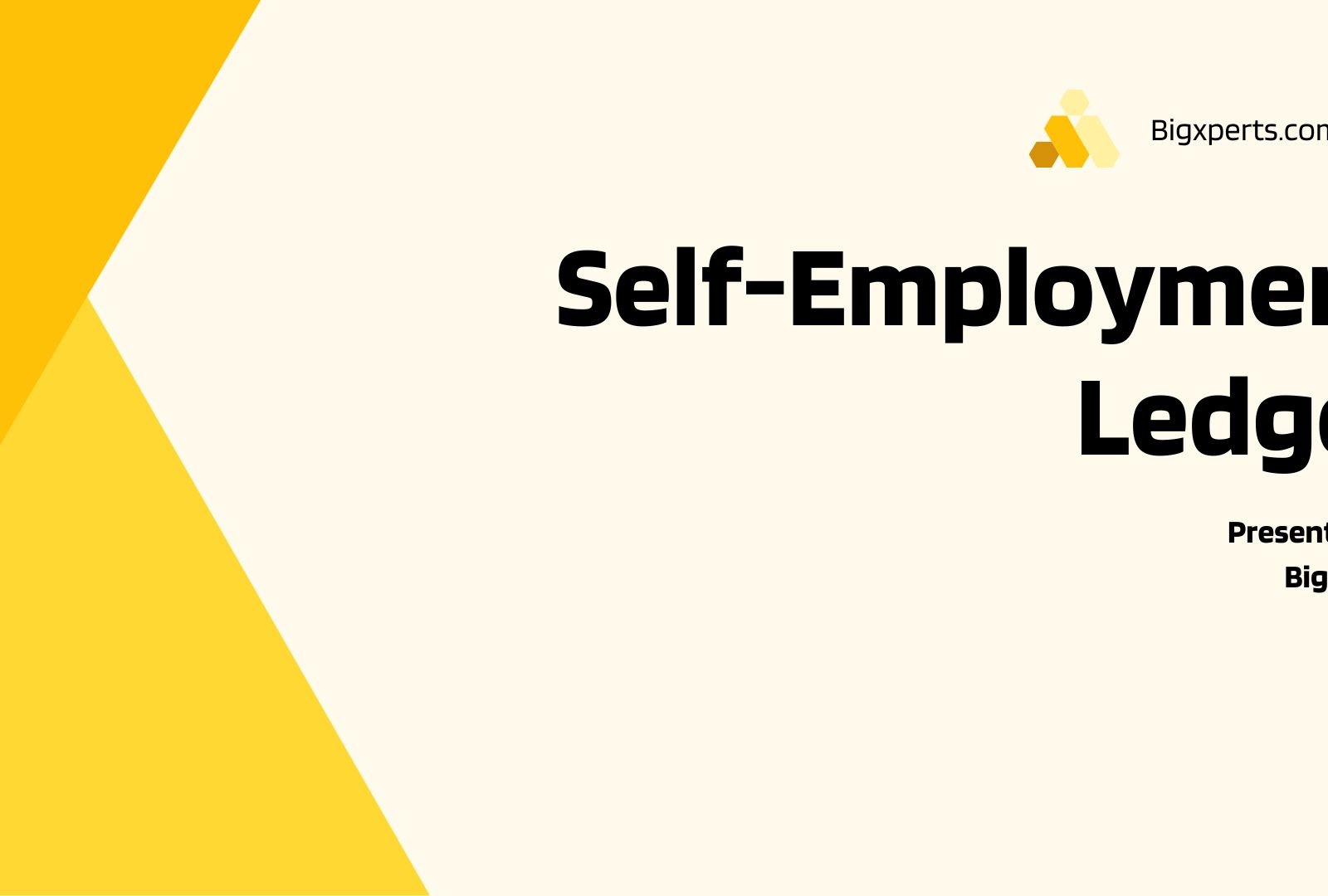 what-is-a-self-employment-ledger-by-smb-accountants-on-dribbble