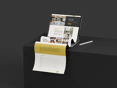WordPress Website Design divi website wordpress website design
