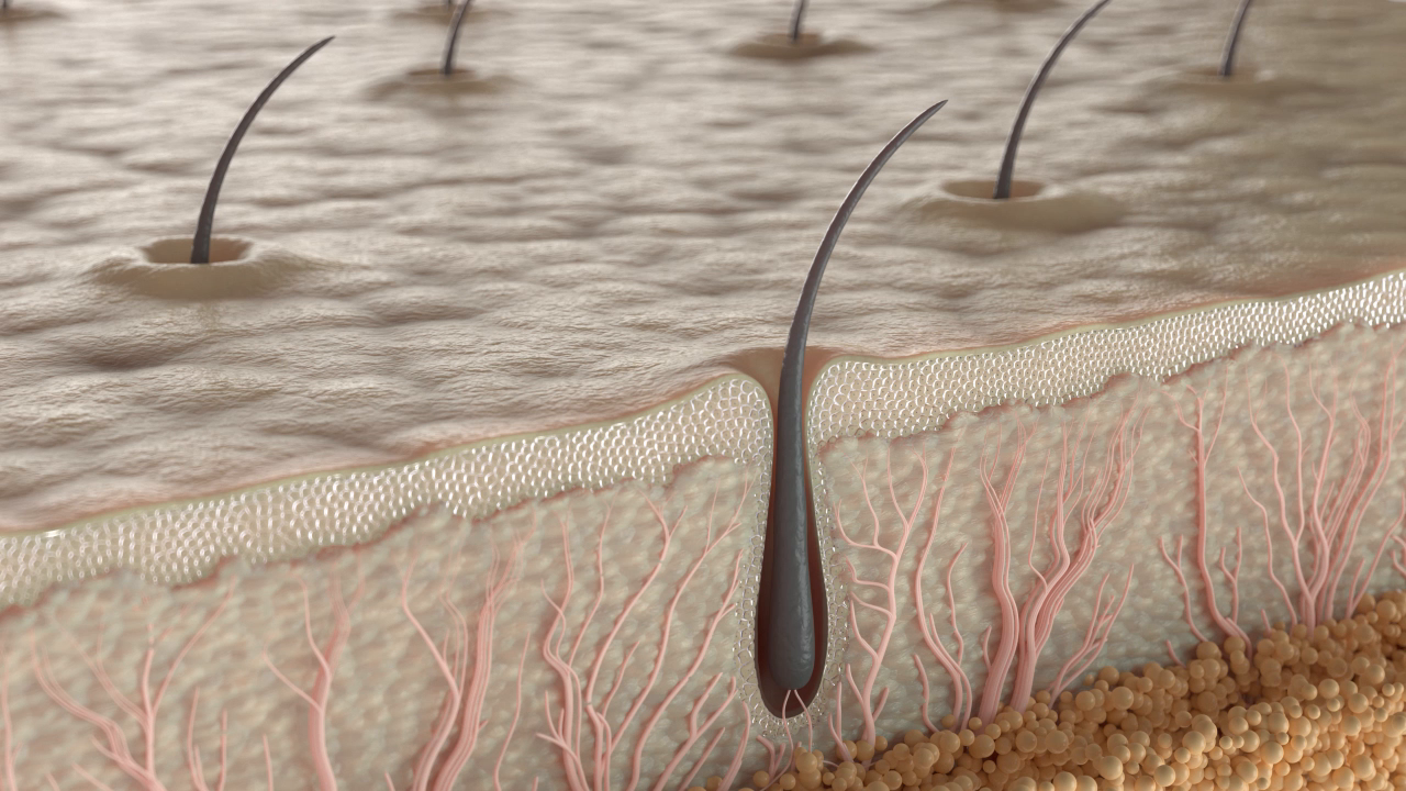 The Art of Cellular Care | 3D Animation