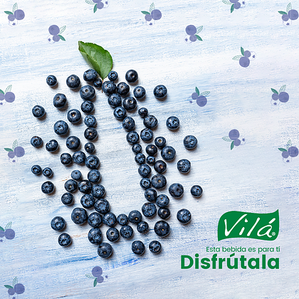 Vila