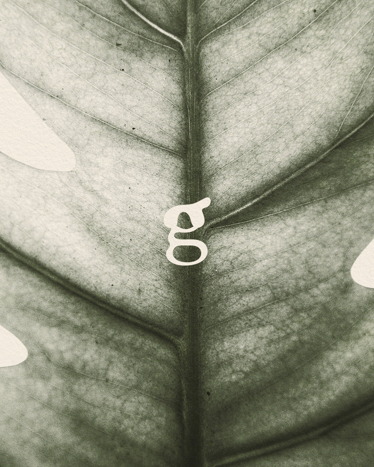 Ground | Logo Design brand design branding graphic design human logo logo design organic type design typography visual identity wordmark