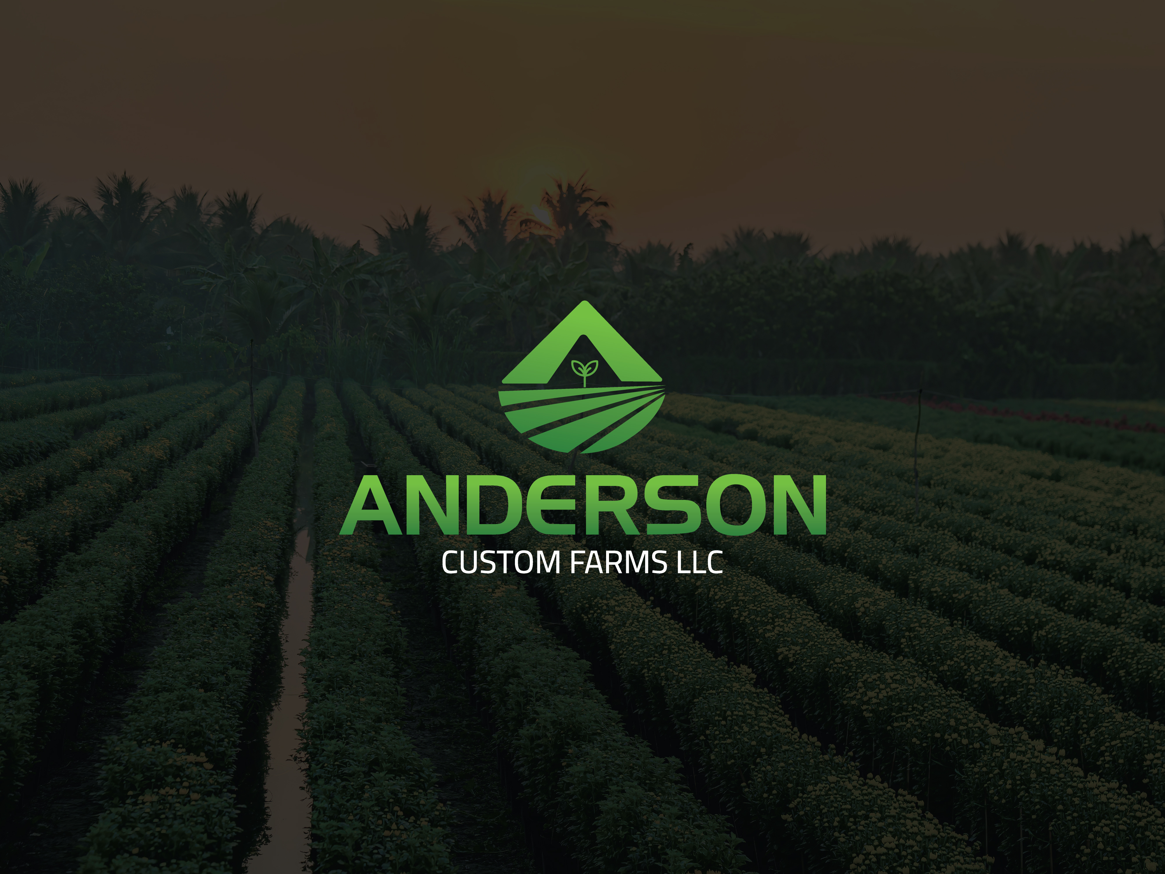 Example of Abstract Logo & Conceptual Brand Mark