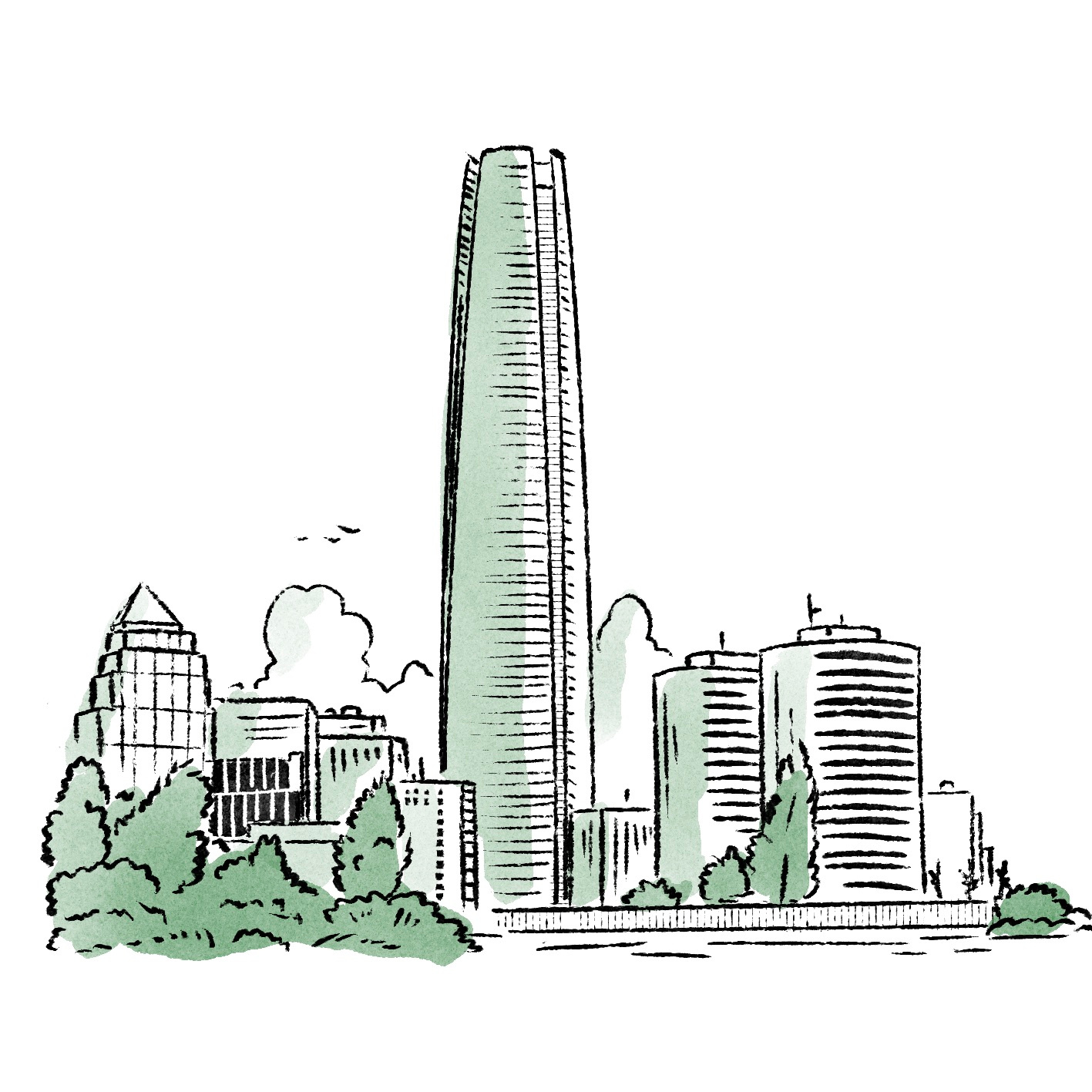 Santiago de Chile design editorial illustration procreate