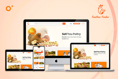 Feather Finder app design app development graphic design ui ux web development wed design