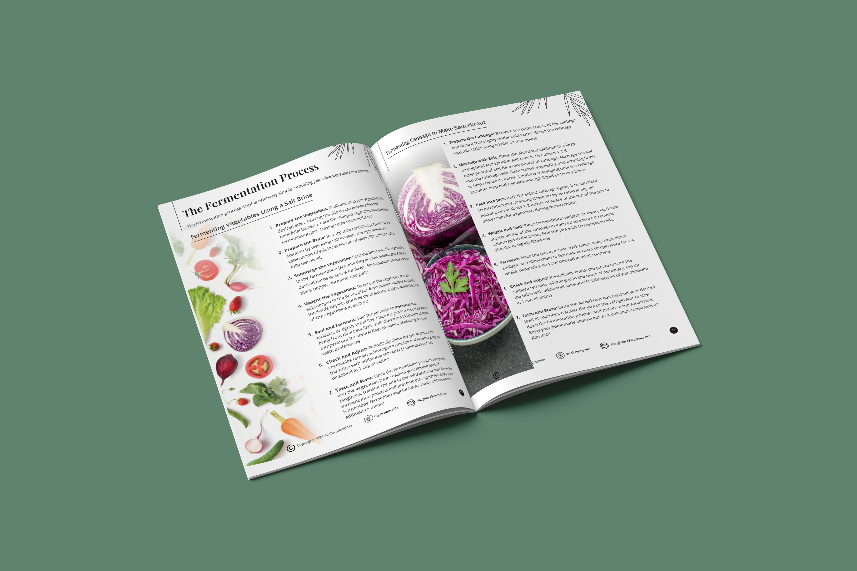Wellness eBook Design | Nutrition Guide Layout (Canva) canva ebook design digital publication ebook design editorial layout fitness ebook health guide design lead magnet design nutrition ebook design nutrition guide publication design recipe ebook layout wellness ebook