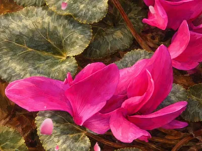 From Lens to Canvas – AI Enhanced Nature 3d ai art ai enhanced photography animation branding contemporary art creative ai design digital art digital painting floral art graphic design illustration logo mixed media motion graphics nature art photo manipulation ui vector