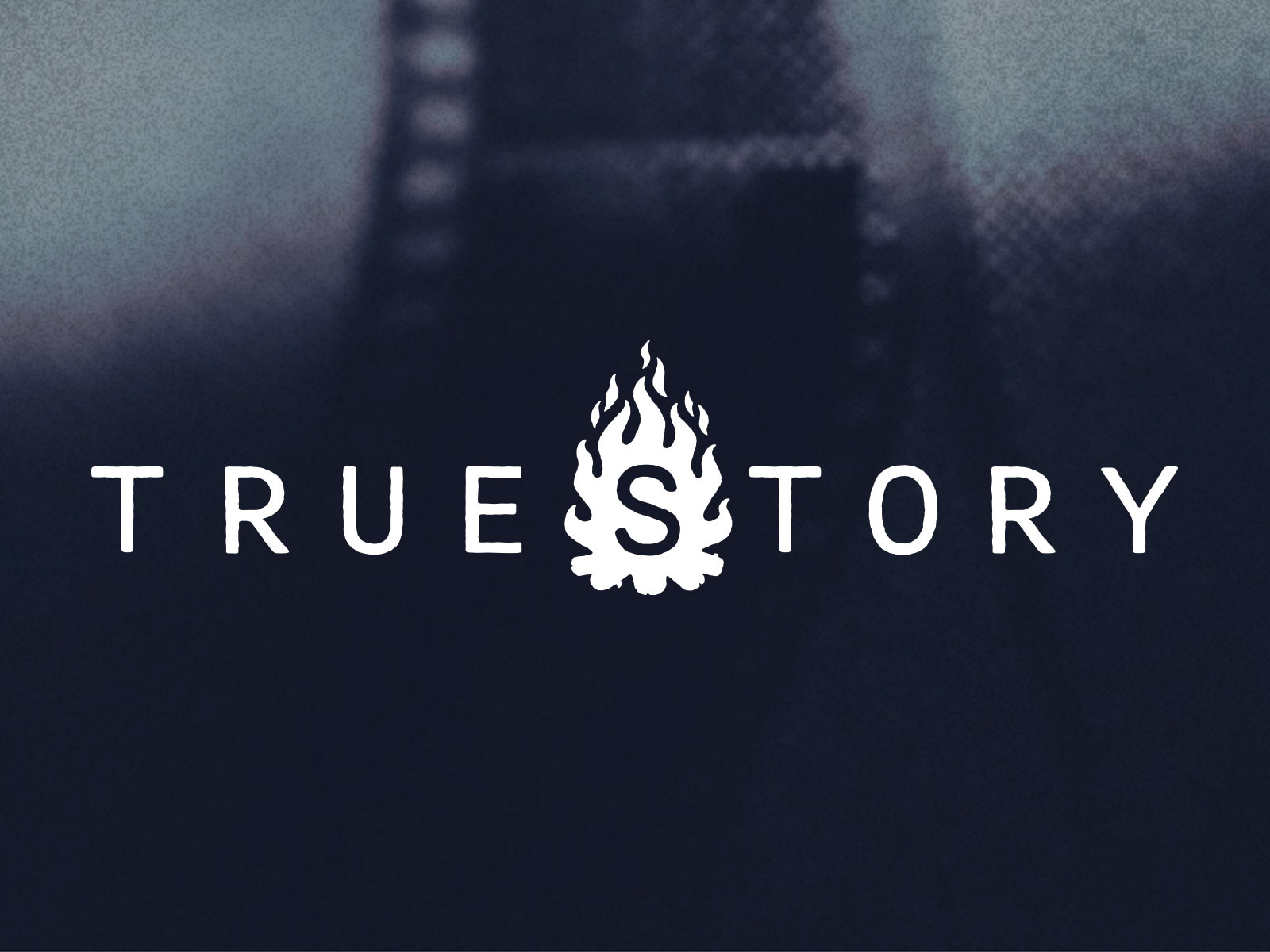 True Story brand design brand identity branding campfire film filmmaking graphic design identity logo logo design screenwriting storytelling style guide true story vector