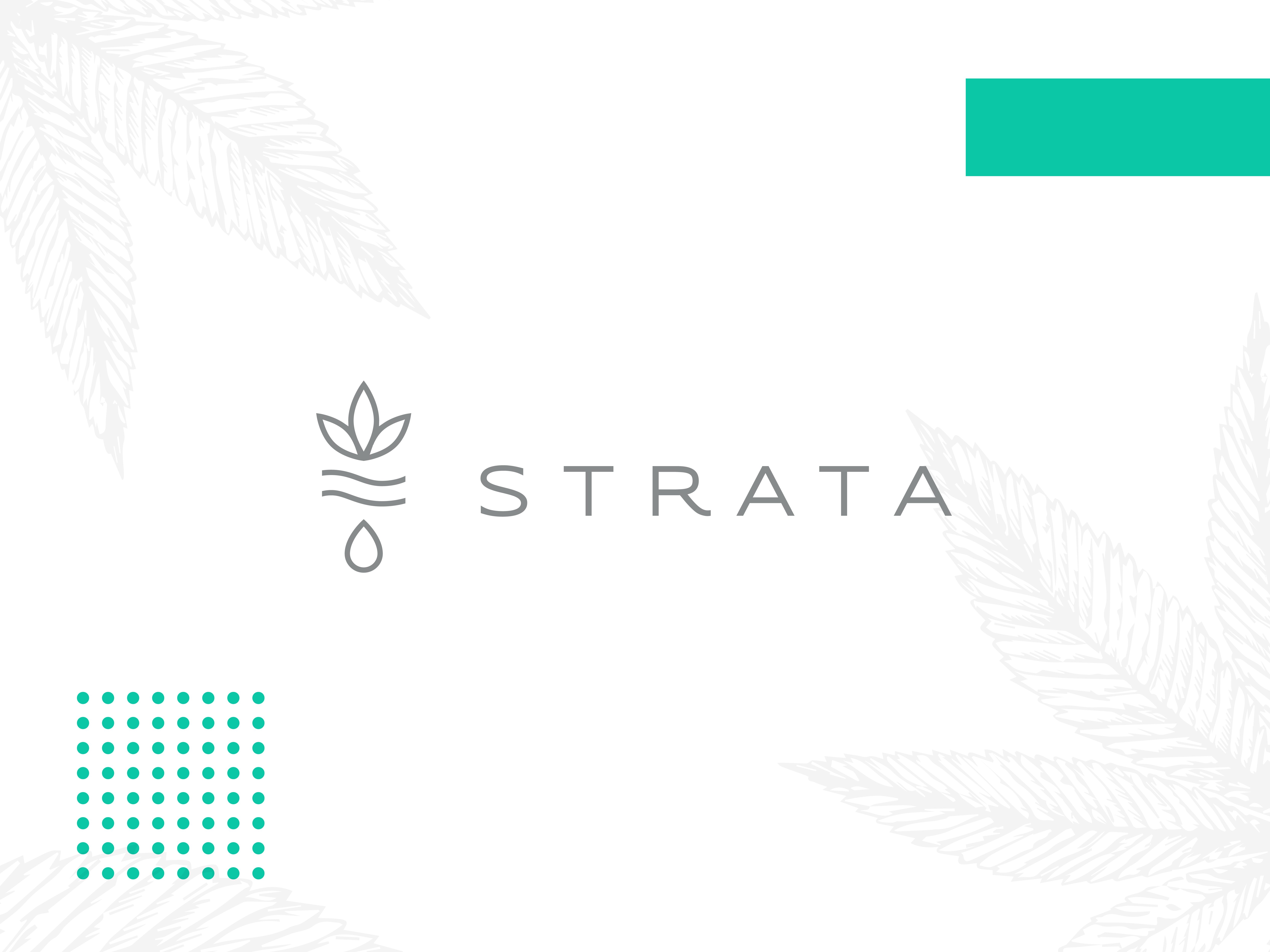 Strata Brand & Packaging Design branding cannabis cbd classy drop elegant freethrow leaf leaves logo packaging pattern renewal shot sleek thc trees water weed zen