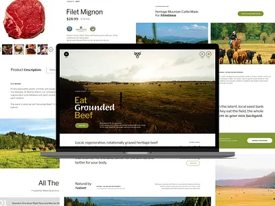 Blarney Ranch (MT) Web Design beef branding design dtc ecommerce farm green grid grid layout interface laptop mobile mockup organic responsive ui ux web design website yellow