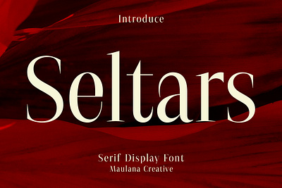 Seltars Display Serif Font animation branding design font fonts graphic design illustration logo nostalgic