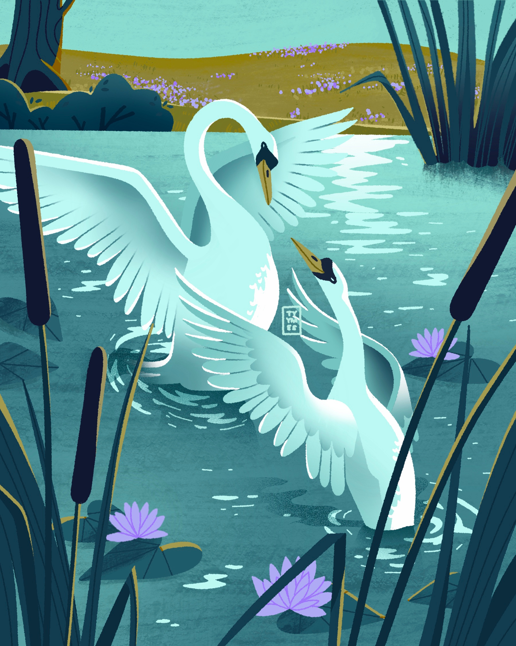 Swan Lake Serenade #naturesnotes2026 beautiful children book dance design digital drawing challenge fauna flora illustration lake love minimal nature naturesnotes naturesnotes2026 pond procreate simple swan water