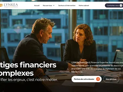 Lynkea - Damages & Financial Expertise branding design graphic design illustration impression logo ui ux website