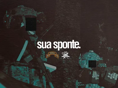USAR - 75th Rangers Regiment (Sua Sponte) Propaganda canva design graphic design