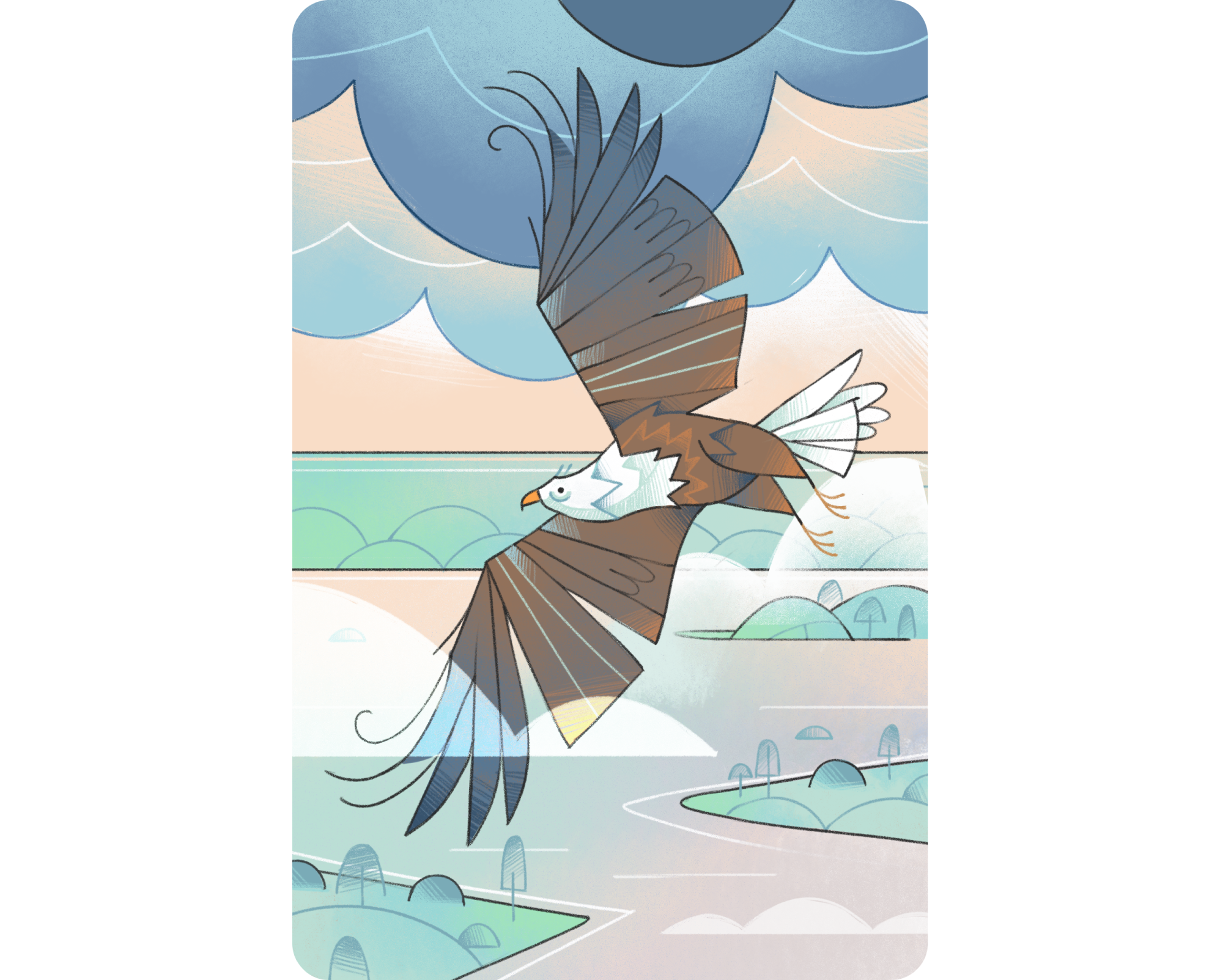 Eagle 2d illustration animal animal card bird book illustration card character character design clouds eagle flat fly illustration kids book kids illustration landscape ocean poster sky wings