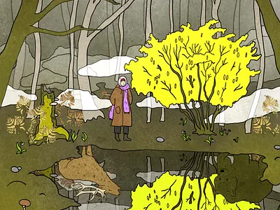 forest mirror editorial editorial illustration illustration nature