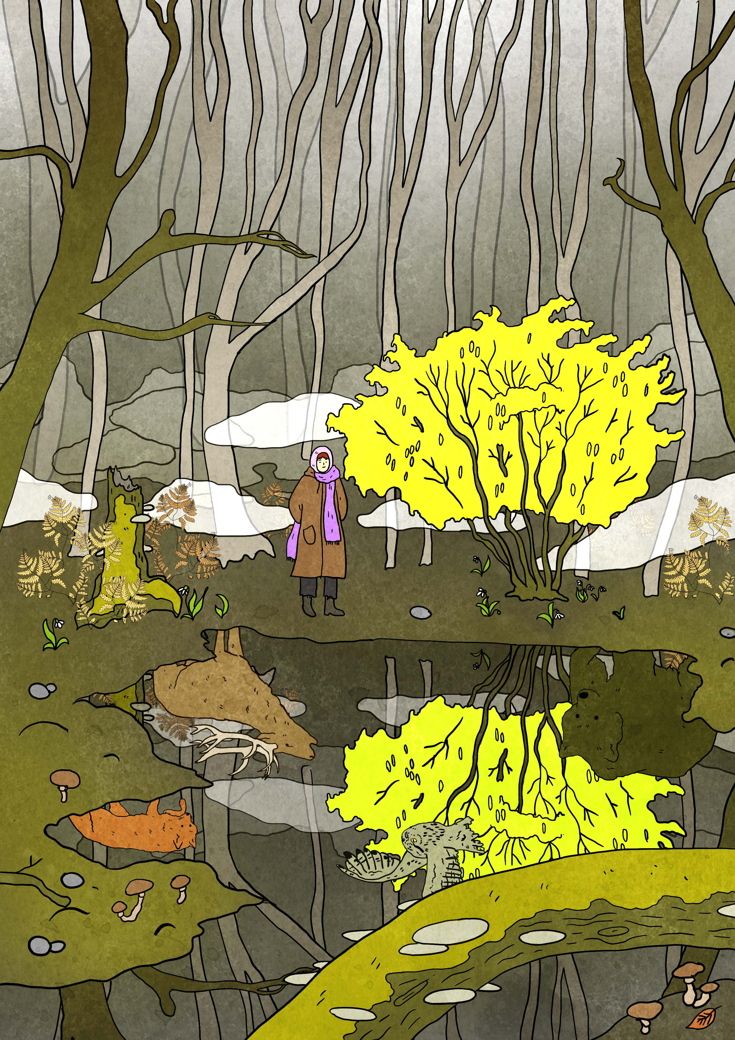Example of forest mirror