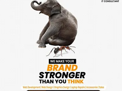Social Media Designs branding design graphic design typography