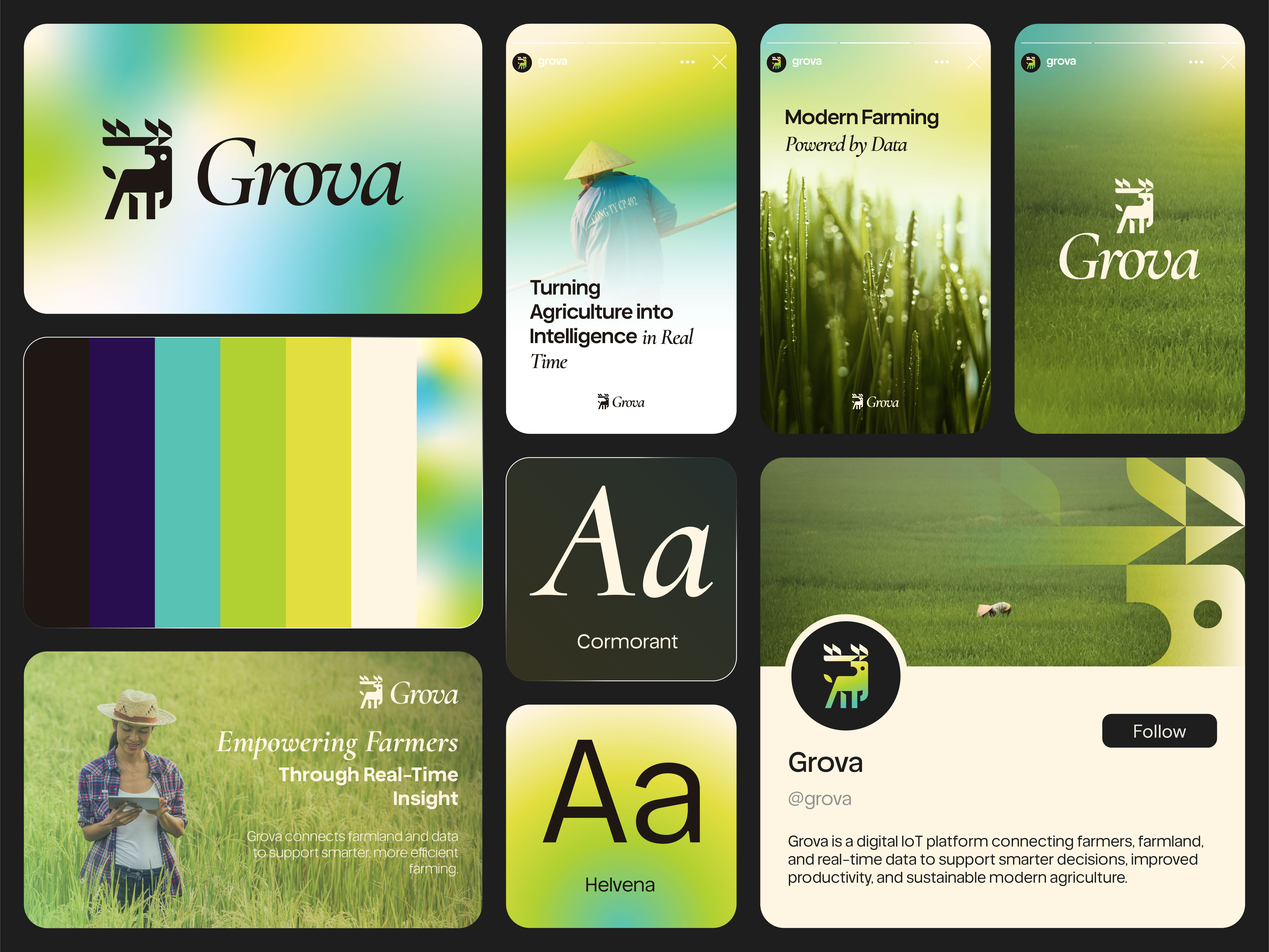 Example of Starter Branding Package 