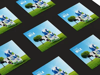 Clean & modern dairy branding concept focused on freshness branding creativework graphic design milkbrand minimalist productdesign