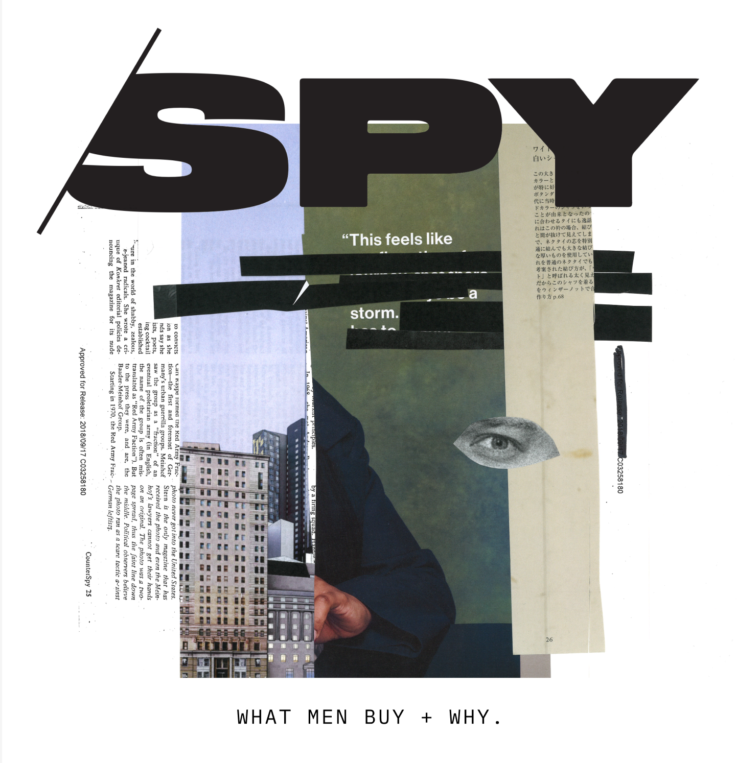 Analog Collage: SPY Newsletter Hero analog branding collage editorial hero newsletter visual branding