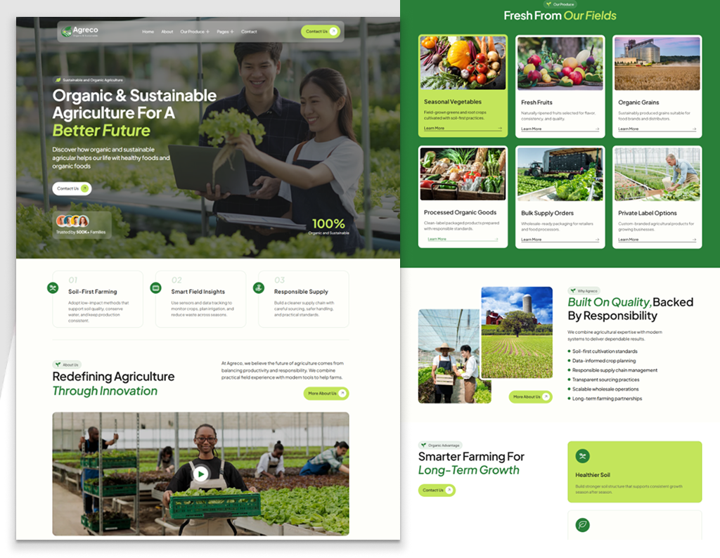 Example of Custom Word Press Website Design