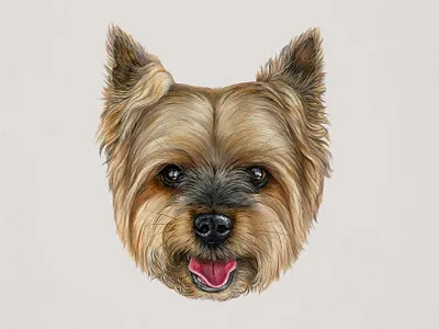 Pet portrait hand drawn illustration animal color pencils commission custom illustration dog dog portrait drawing hand drawn illustration pet pet illustration pet portrait watercolor watercolor illustration