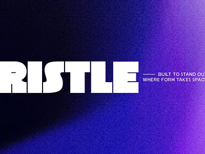 Ristle – Bold Modern Display Sans bold branding design display graphic design illustration logo luxury magazine motion graphics posters typography ui