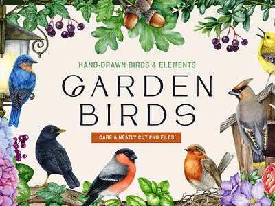 Garden Birds Hand Drawn Watercolor Illustration Set bird bird illustration botanical illustration branding custom illustration design drawing floral flower garden birds hand drawn illustration nature packaging packaging design seamless border seamless pattern watercolor wildlife