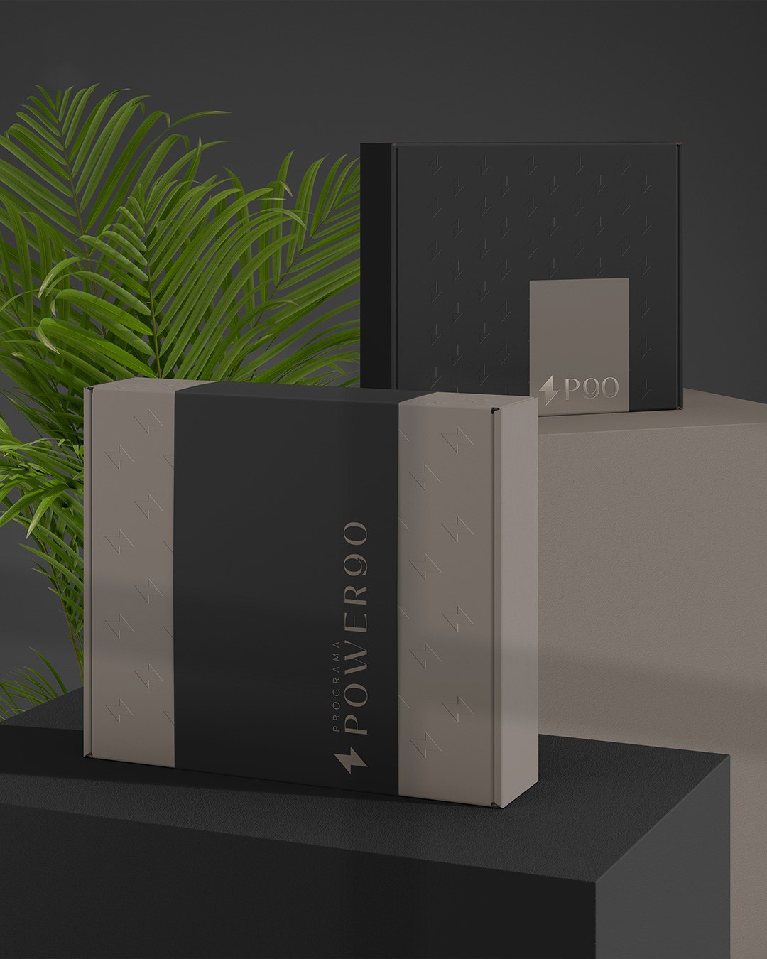 Power 90 Program Identity box branding design download identity logo packaging paper pin enamel psd stationery studio sunlight template typography