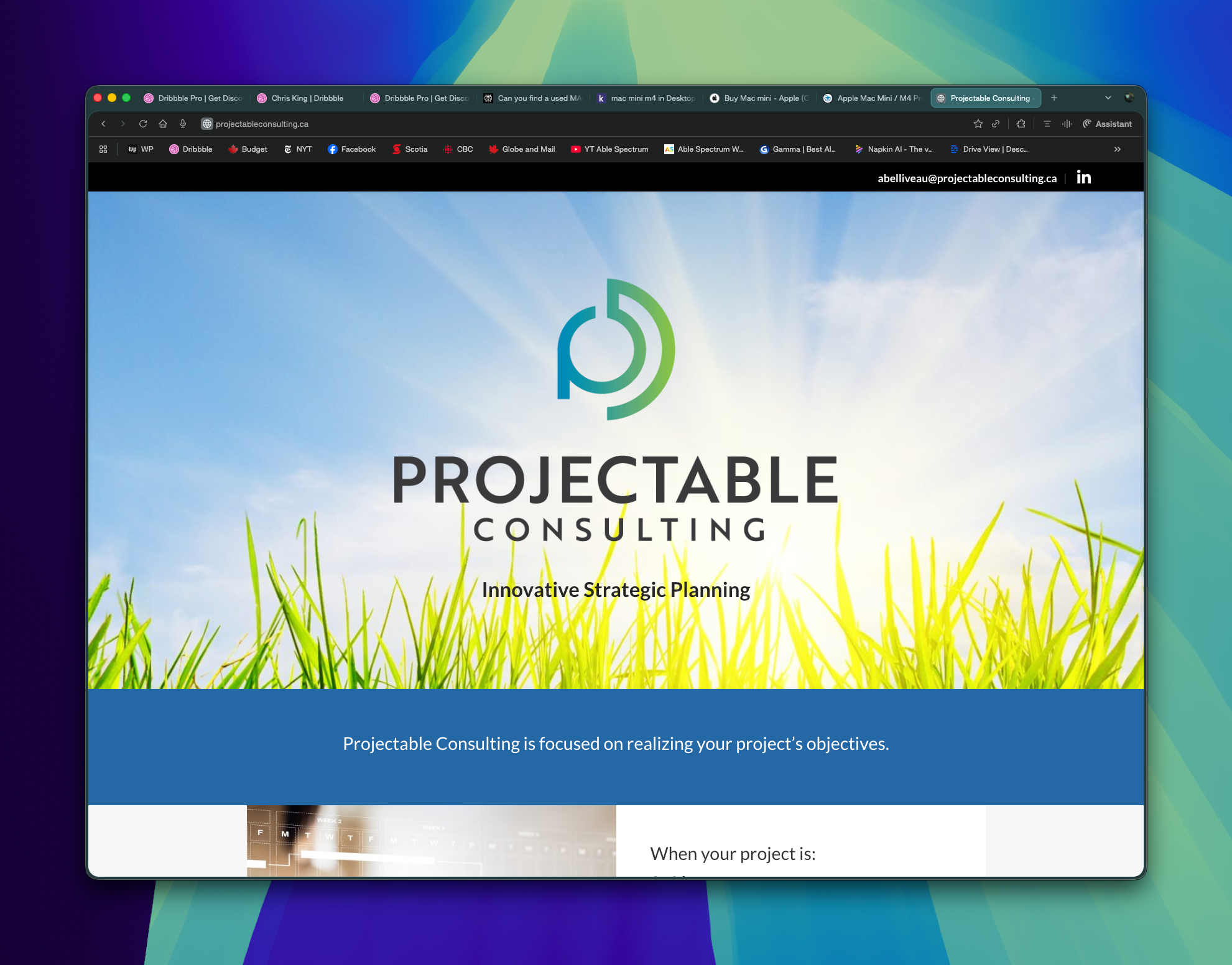 Projectable Consulting Landing Page accessible web page divi landing page wordpress