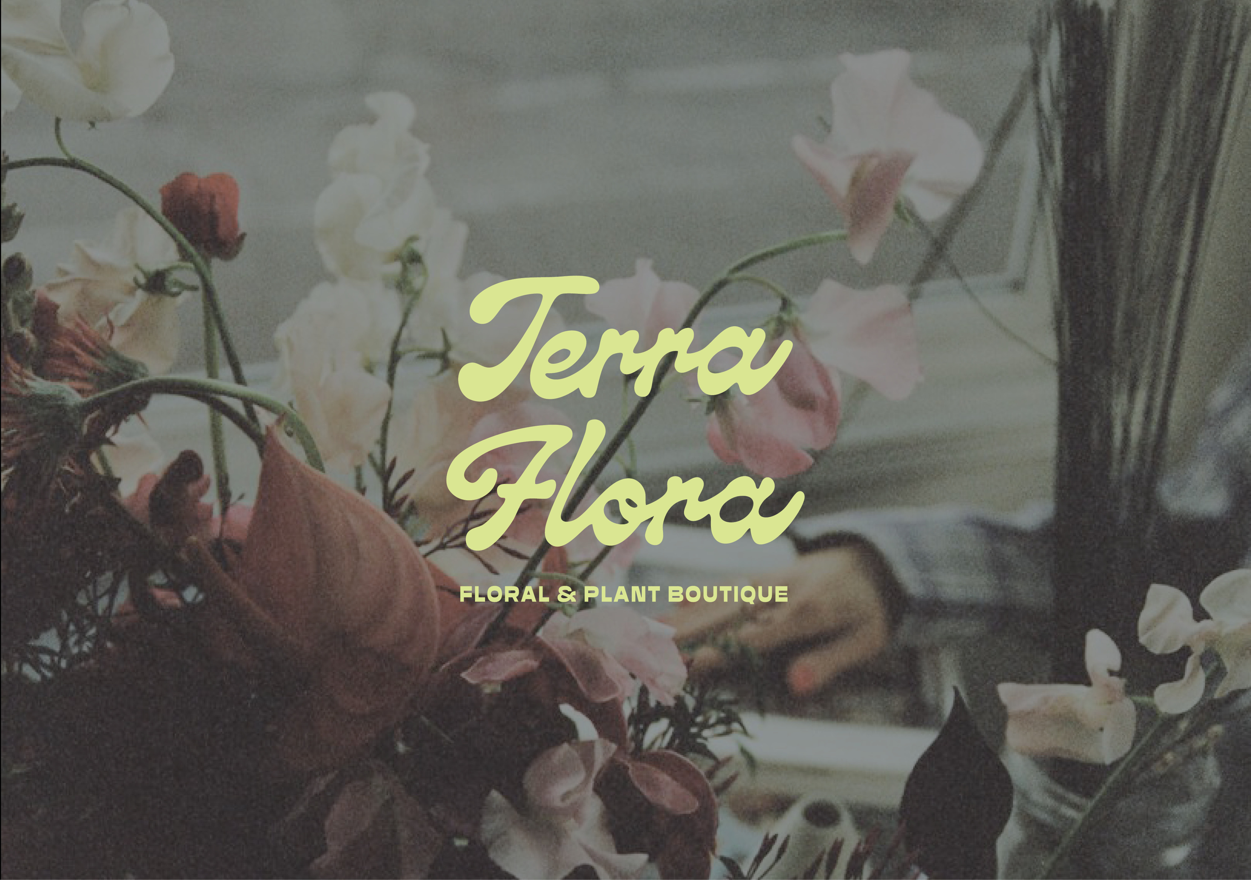 Terra Flora flower shop branding branding brush lettering custom lettering design graphic design hand lettering handmade font illustration lettering logo logo design visual identity