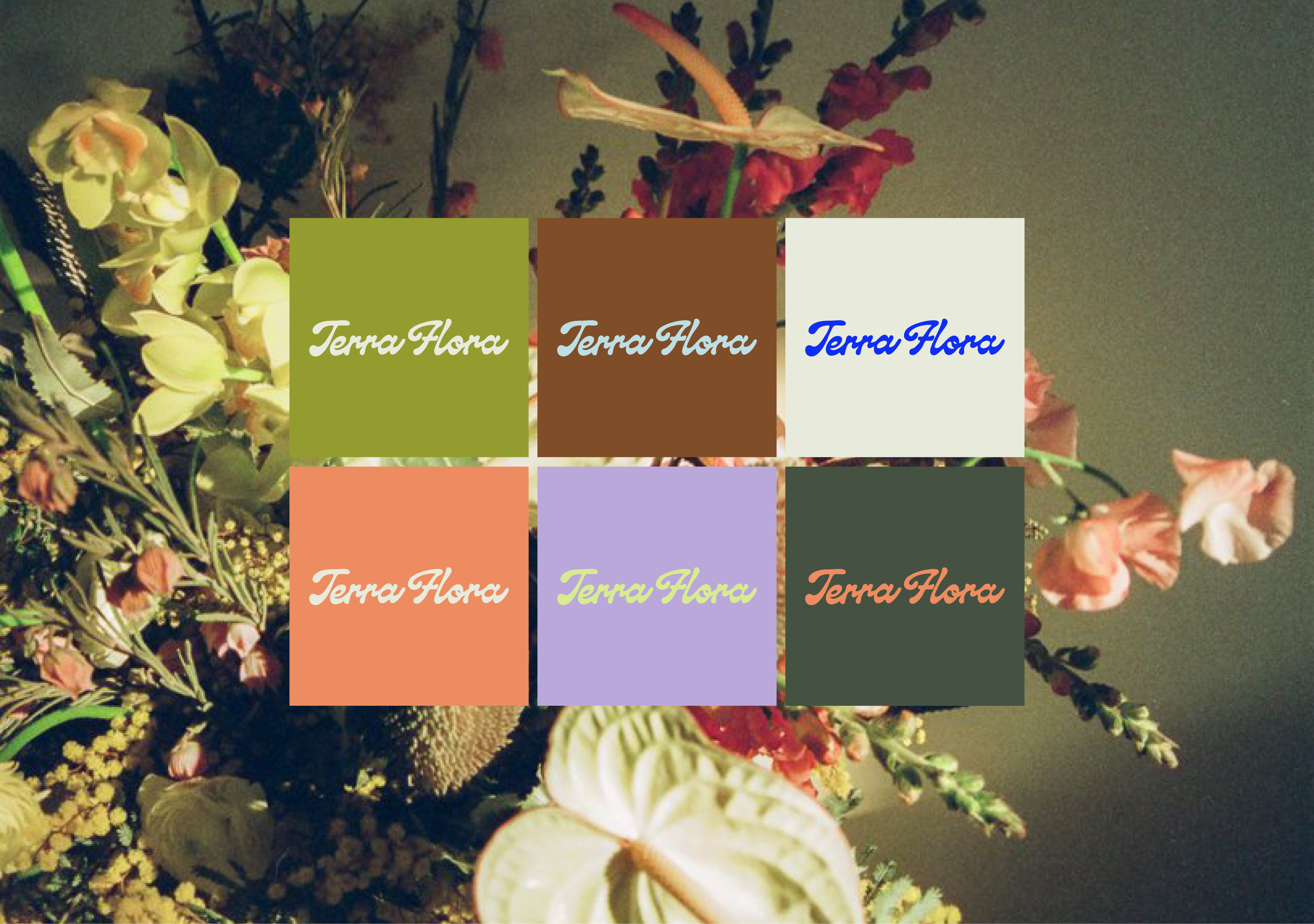 Example of Custom Branding And Logo Design
