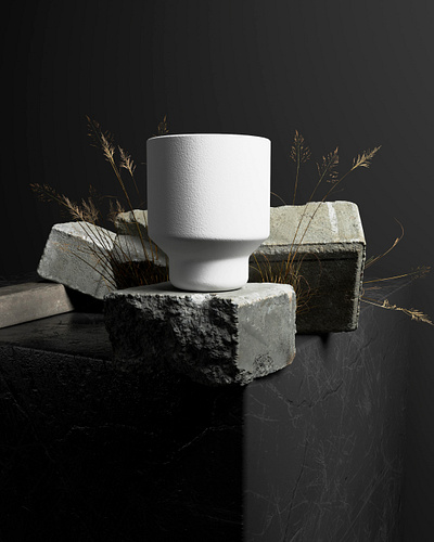 Minimalistic Vase Product Shot 3d black black and white cinema 4d concrete minimalistic natural product render redshift render vase white