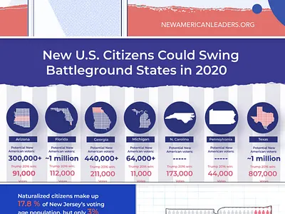 NAL--2020 update communications graphic design illustration vote