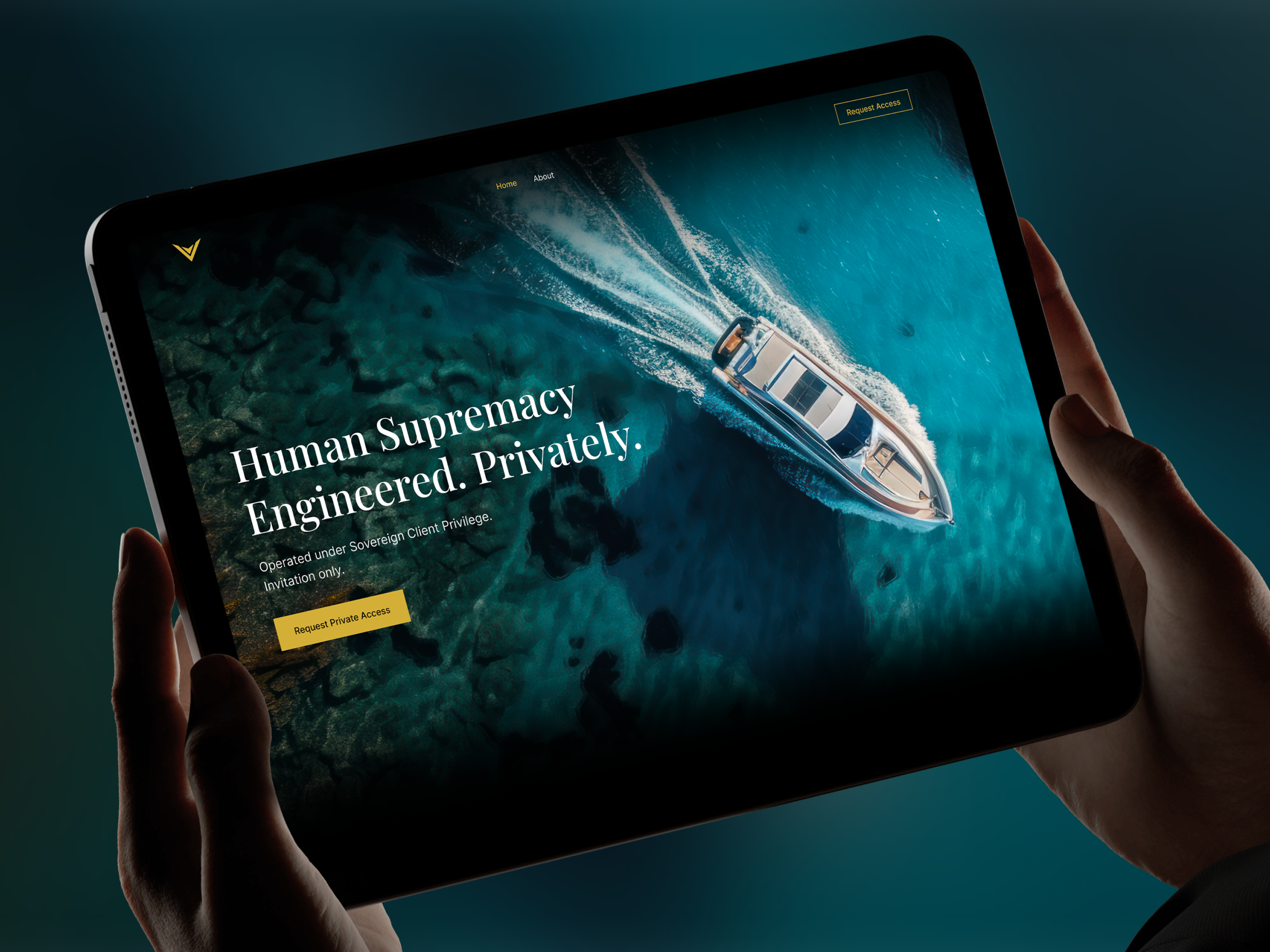 Example of Website And Development
