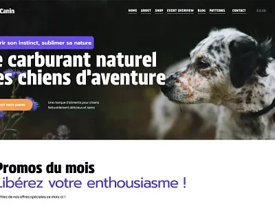 Elixir canin - boutique branding design graphic design ui ux website