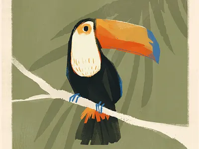 toucan aves birds colombia illustrtion ilustraciondigital mixmeida toucan tucan
