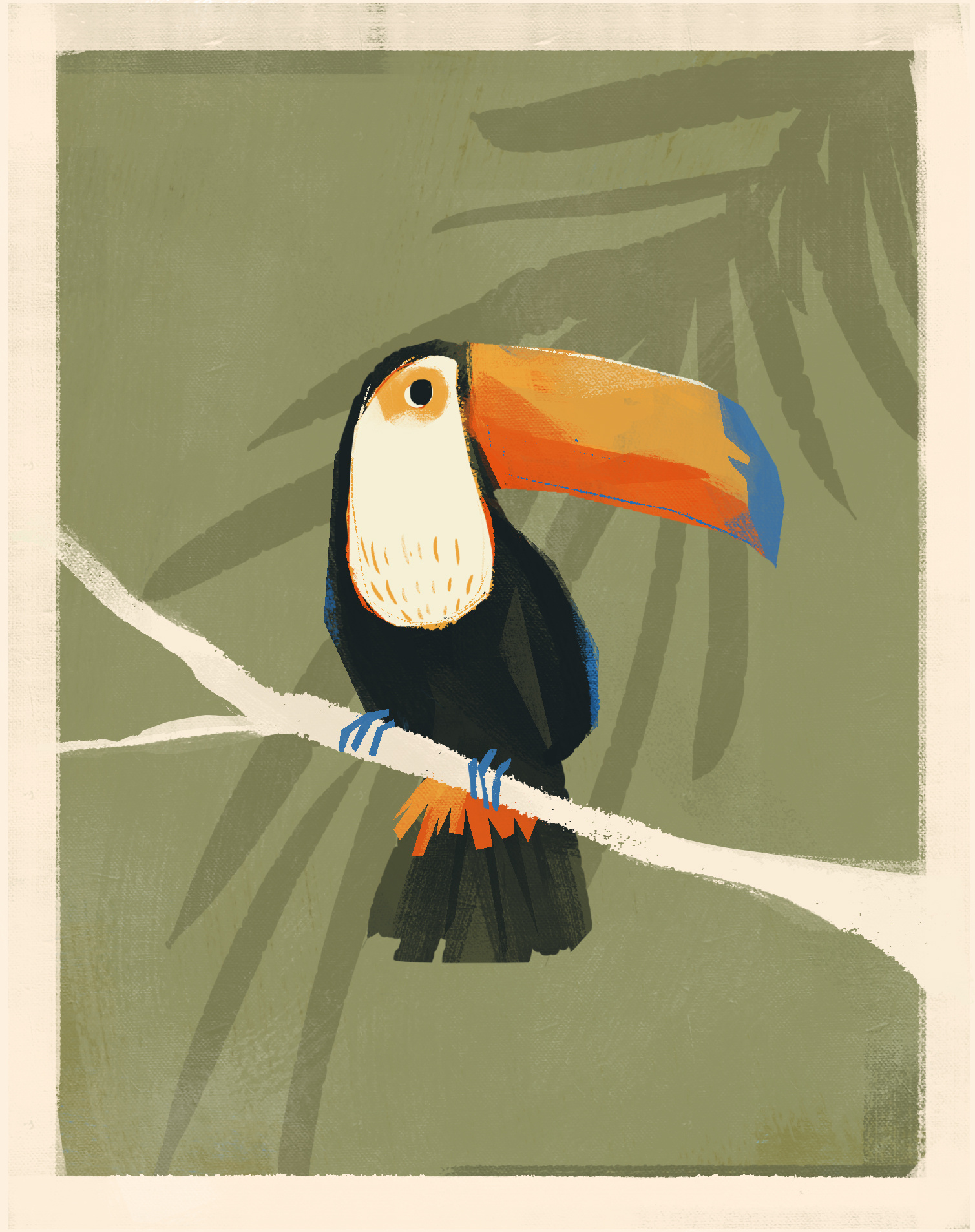toucan