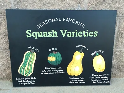 Seasonal Squash Varieties – Illustrated Produce Board chalk art educational design environmental graphics experiential retail food illustration grocery branding hand lettering in store design produce signage retail design