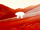 Example of Shot